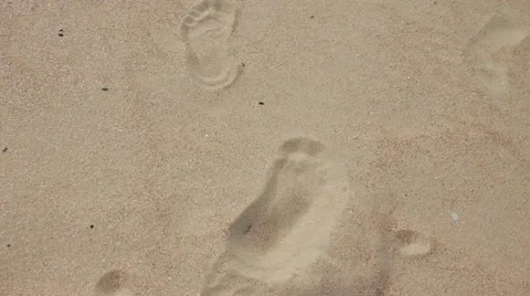 Footprints in the sand Stock Footage 56161955