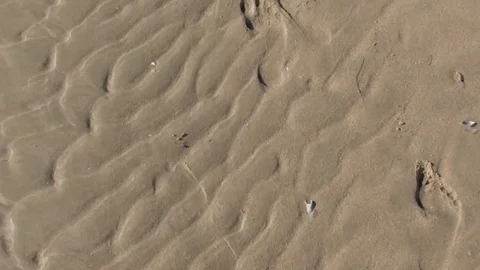 Footprints in sand 스톡 동영상 89932101