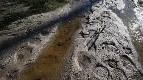 Footprints in the sand Stock Footage 98424285