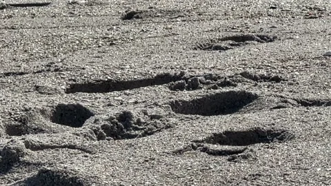 Footprints In The Sand Stock Footage 230997193