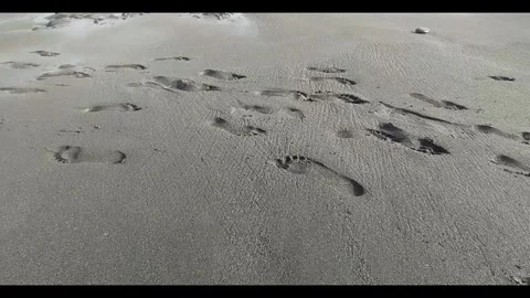 Footprints in the sand Stock Footage 315003439
