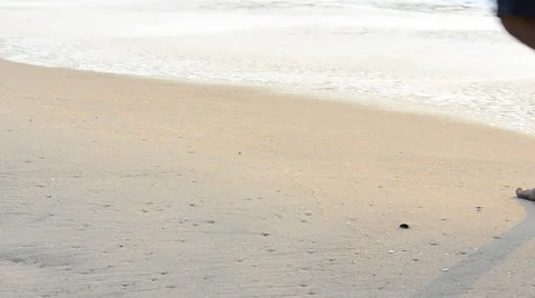 Footprints on the sand. HD Stock Footage 41755530