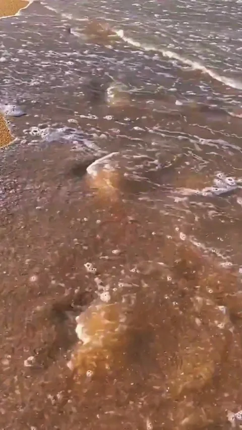 Footprints in the Sand with Ocean Waves Rolling In Stock Footage 341908035