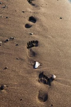 Footprints in sand Stock Photos