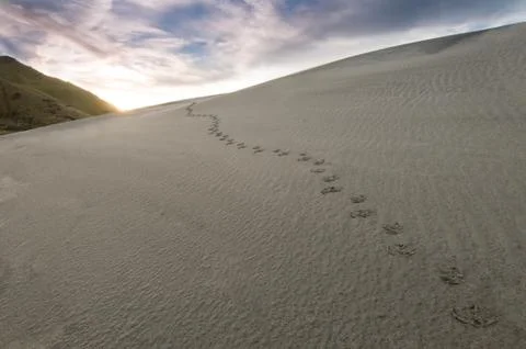 Footprints in sand Stock Photos