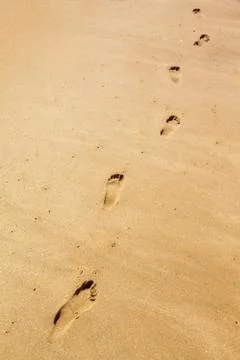 Footprints in the sand Stock Photos