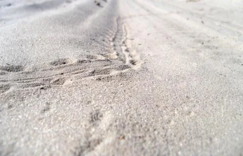 Footprints in the sand Stock Photos