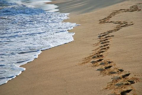 Footprints in the sand Stock Photos