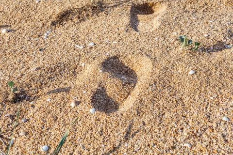 Footprints in the sand 库存照片