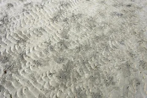 Footprints in the sand Stock Photos
