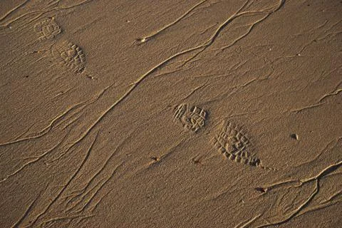 Footprints in the sand Stock Photos
