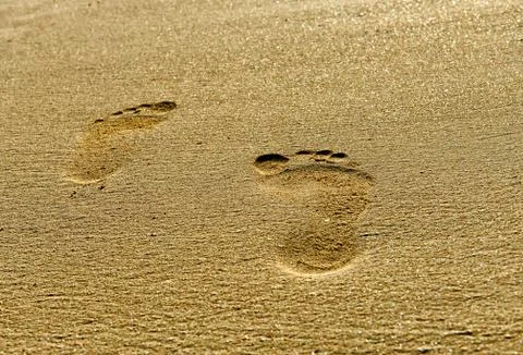 Footprints in sand 스톡 사진