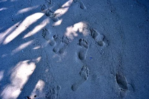 Footprints in the sand Stock Photos