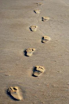 Footprints in the sand 스톡 사진