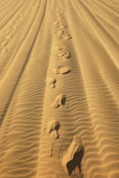 Footprints on the sand Stockfoto's