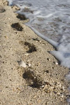 Footprints in the sand Stock Photos