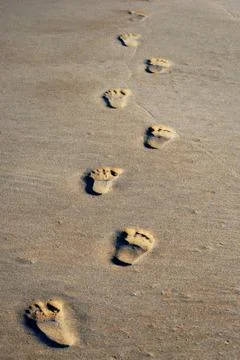 Footprints in the sand 스톡 사진