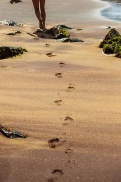 Footprints in the sand Stock Photos