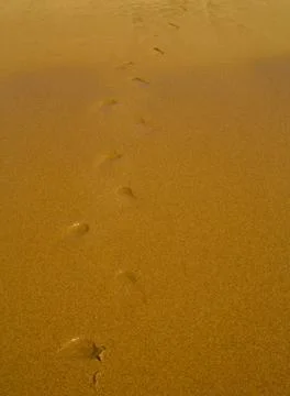 Footprints in the sand Stock Photos