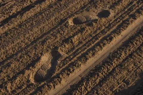 Footprints in the sand Stock Photos