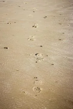 Footprints in the sand Stock Photos