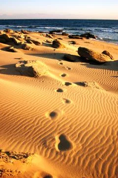 Footprints in the sand Stock Photos