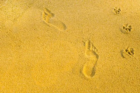 Footprints in the sand Stock Photos