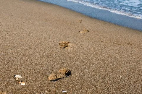 Footprints in the sand Photos