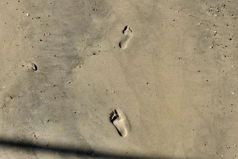 Footprints in the sand. Stock Photos