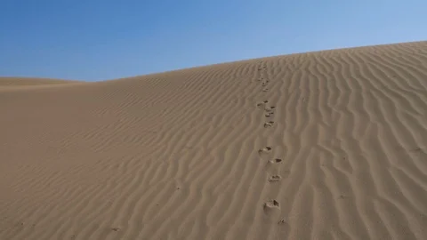 Footprints in the sand, sand dunes, desert Stock Footage 106115346