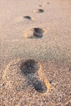 Footprints in the sand at sunset Stock Photos