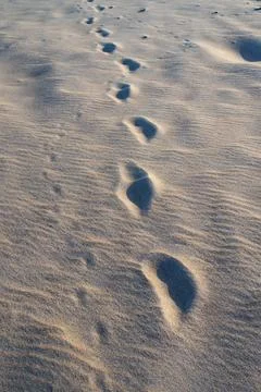 Footprints in the sand at sunset. Stock Photos