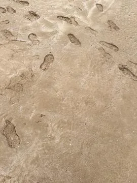 Footprints in Sand: Textured Beach Path with Natural Light and Distant Ocean Stock Photos