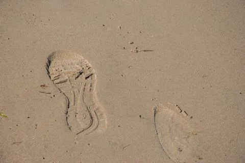 Footprints on sandy beach capturing tranquil summer vibes and seashore advent Stock Photos