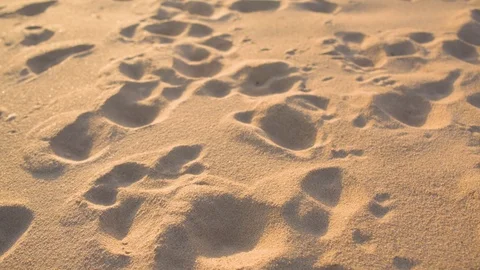 Footprints on a sandy beach at dusk Stock Footage 76095865