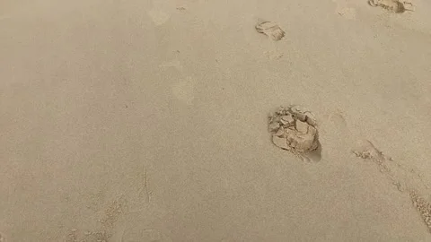 Footprints on sandy beach Stock Footage 276158734