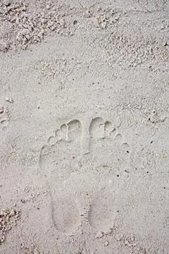 Footprints on the sandy beach Stock Photos