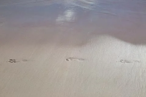 Footprints on a Sandy Beach Stock Photos