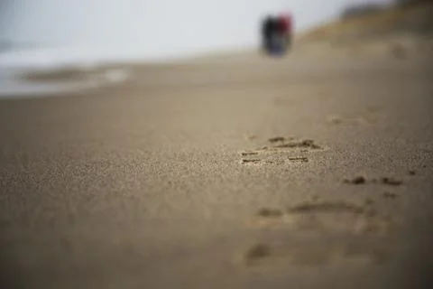 Footprints on a sandy beach Stockfoto's
