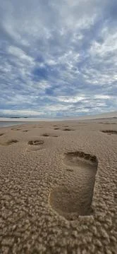 Footprints on the Sandy Beach Stock-Fotos