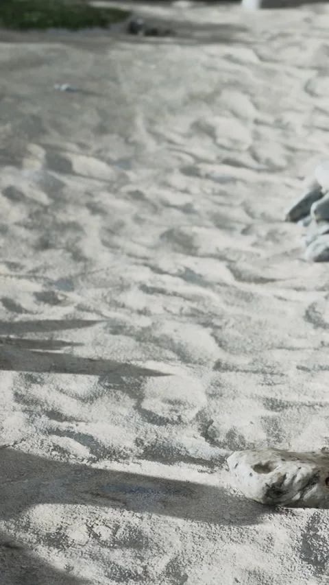 Footprints on sandy beach with rocks in the background during daylight Stock Footage 342335995
