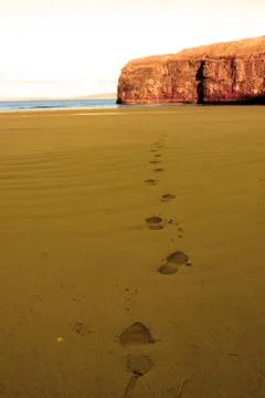 Footprints in sandy empty beach on a beautiful winters day Stock Photos