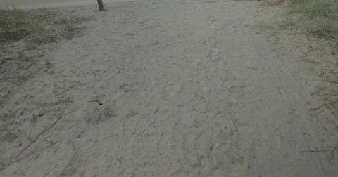Footprints on a sandy path near a beach Stock Footage 76676874