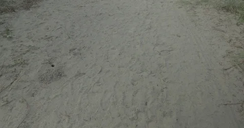 Footprints on a sandy path near a beach Stock Footage 76676908