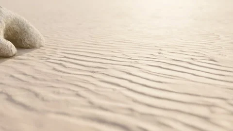 Footprints on sandy surface during late afternoon at a beach Stock Footage 344401425