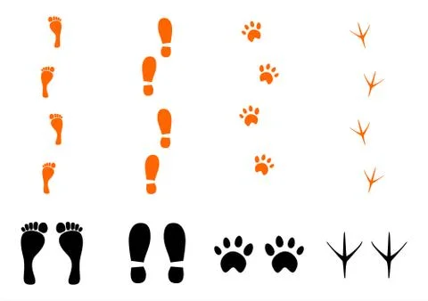 Footprints set. Stock Illustration