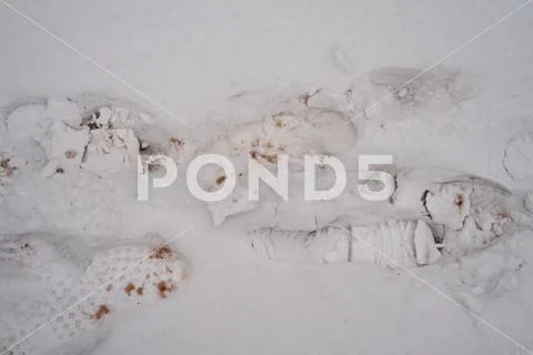 Footprints of shoes in snow. Dirty snow in winter. Stock Photos