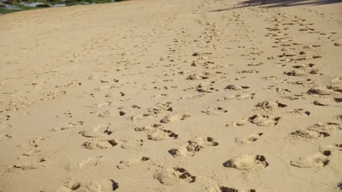 Footprints on the shore of a beach at sunset Stock Footage 318240965