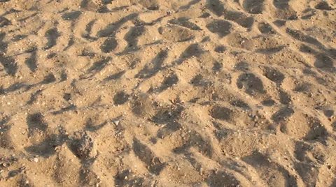 Footprints on shore Stock Footage 28299759