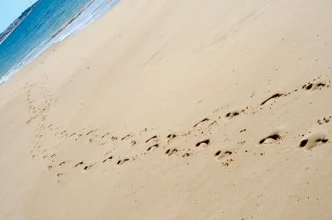 Footprints on the shore. Stock Photos